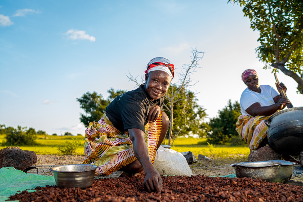 Farmers processing cocoa beans in Northern Ghana with traditional methods outdoors