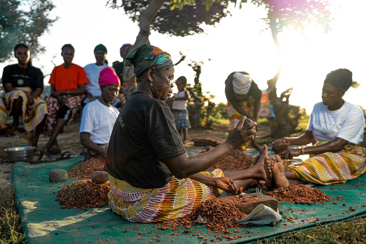 Women processing shea nuts outdoors under tree in Northern Ghana with traditional methods